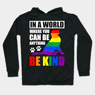 LGBT Gay Pride In a World where you can be Anything Hoodie